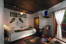 Ecuador-Galapagos-Santa Cruz Island Pre or Post Cruise Getaway